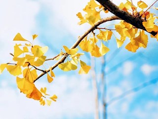 同心協(xié)力奮楫揚(yáng)帆    深度融合共促發(fā)展
