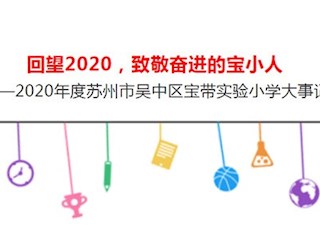 回望2020，致敬奮進(jìn)的寶小人