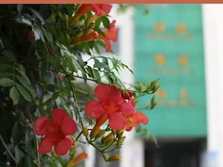 【凌霄新聞臺(tái)】開學(xué)迎檢新起航 從“心”出發(fā)譜新篇