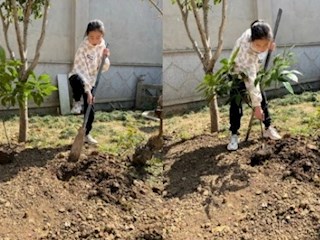 【凌霄新聞臺】植綠護(hù)綠寶小娃 花紅柳綠蘇城美——2022年凌霄學(xué)子植樹節(jié)系列主題活動