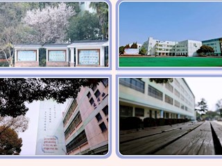 【凌霄新聞臺】一花一木皆有情，一步一景盼生歸
